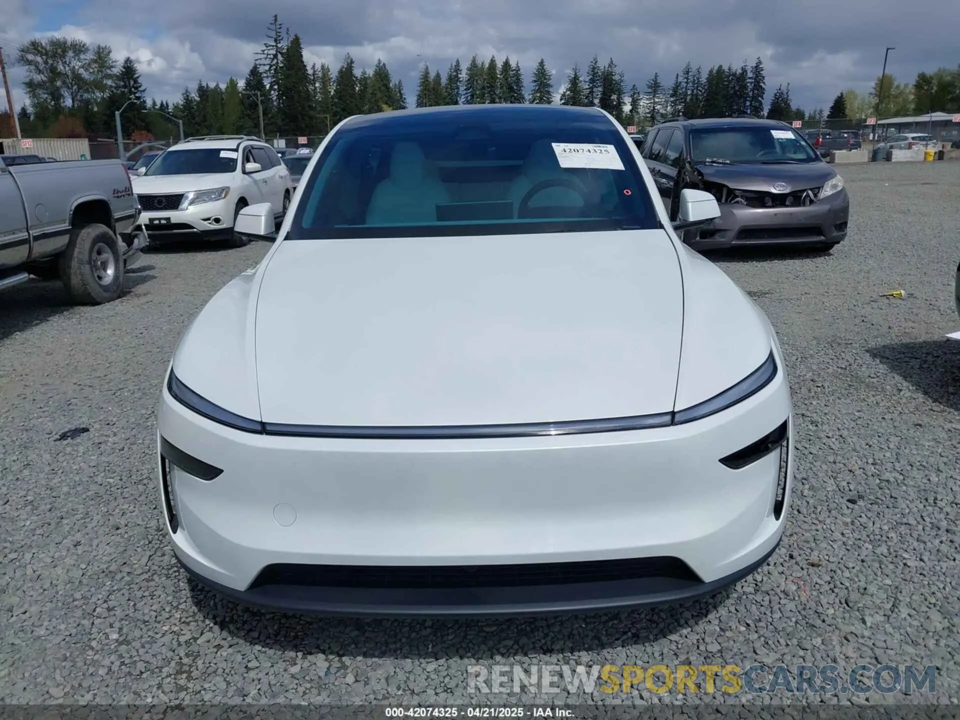 12 Photograph of a damaged car 7SAYGDEE7TF331404 TESLA MODEL Y 2026