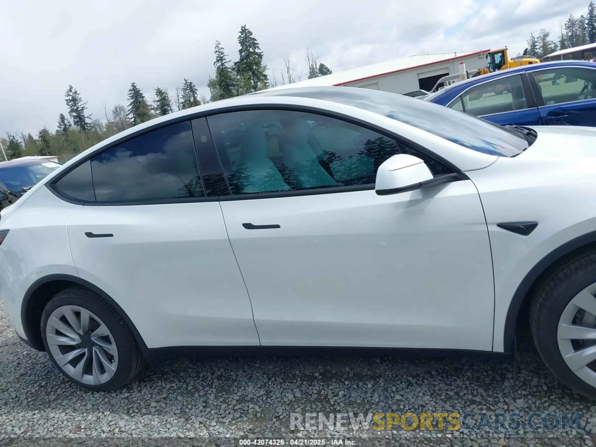 13 Photograph of a damaged car 7SAYGDEE7TF331404 TESLA MODEL Y 2026