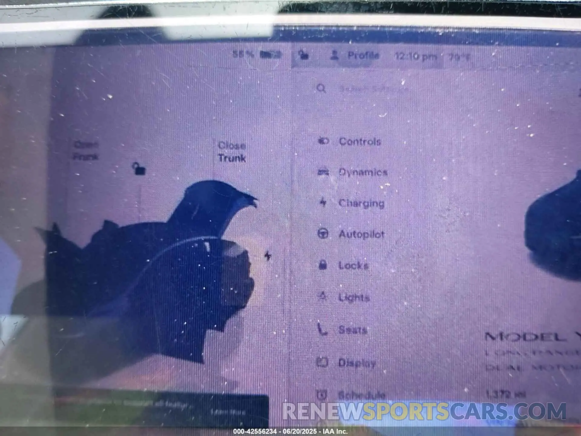 13 Photograph of a damaged car 7SAYGDEE7TF334089 TESLA MODEL Y 2026