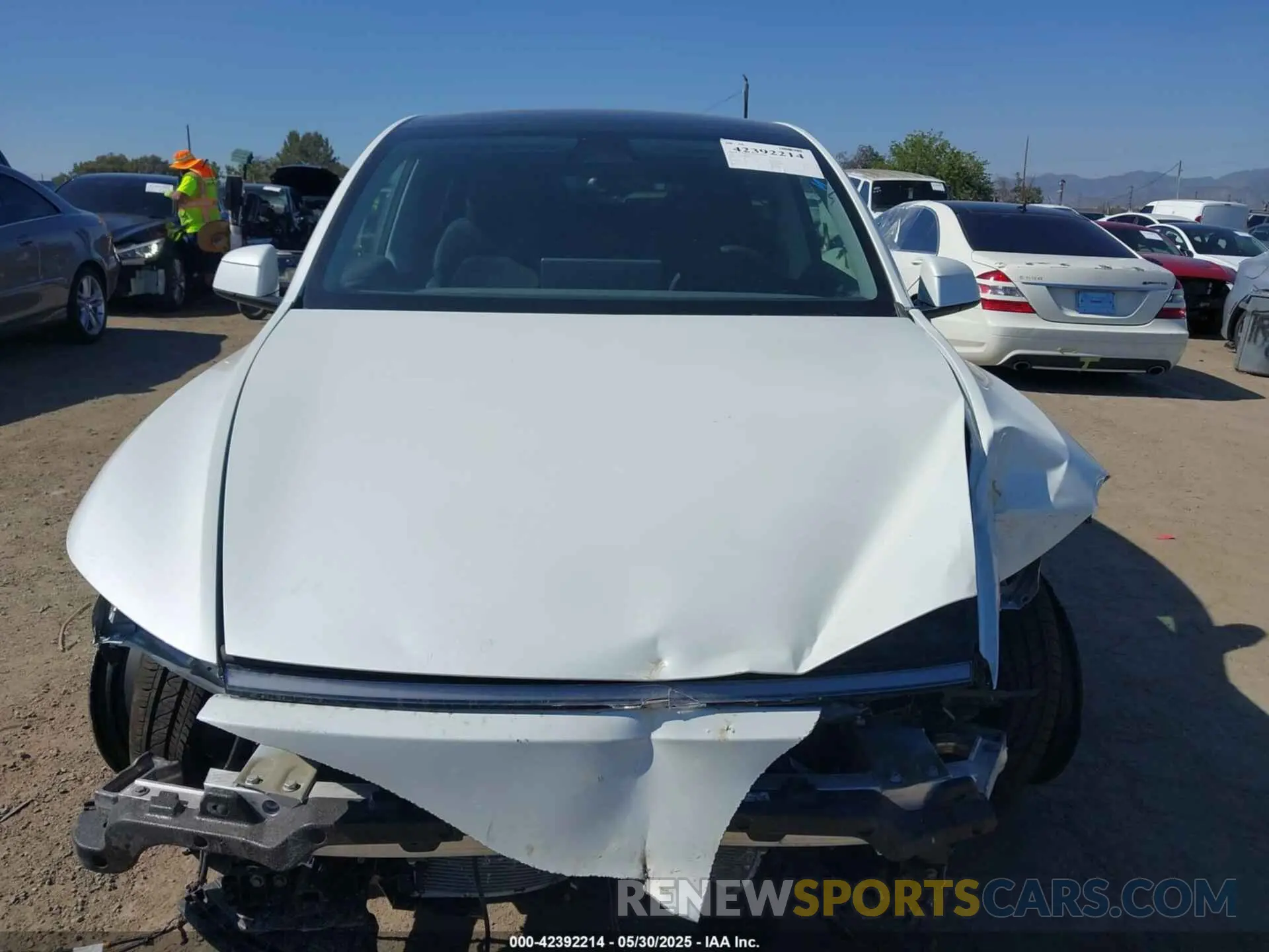 12 Photograph of a damaged car 7SAYGDEE8TF347983 TESLA MODEL Y 2026