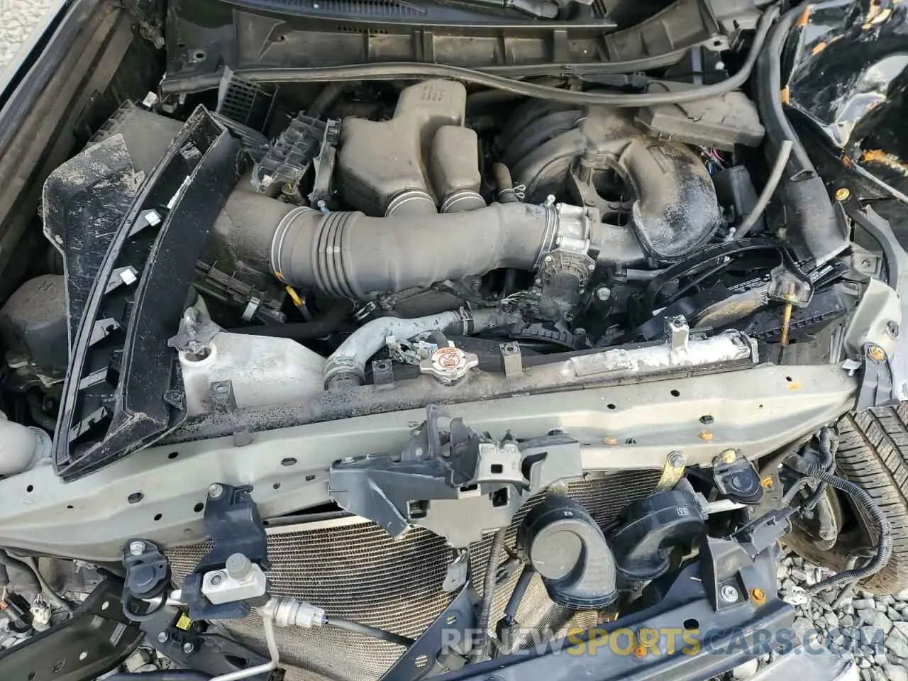 11 Photograph of a damaged car JTEBU5JR0K5686341 TOYOTA 4RUNNER 2019