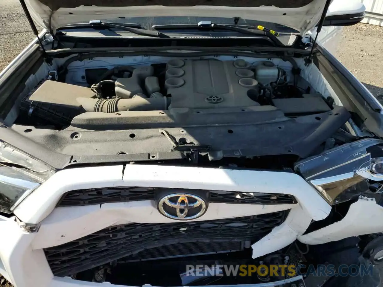 12 Photograph of a damaged car JTEBU5JR2K5675518 TOYOTA 4RUNNER 2019