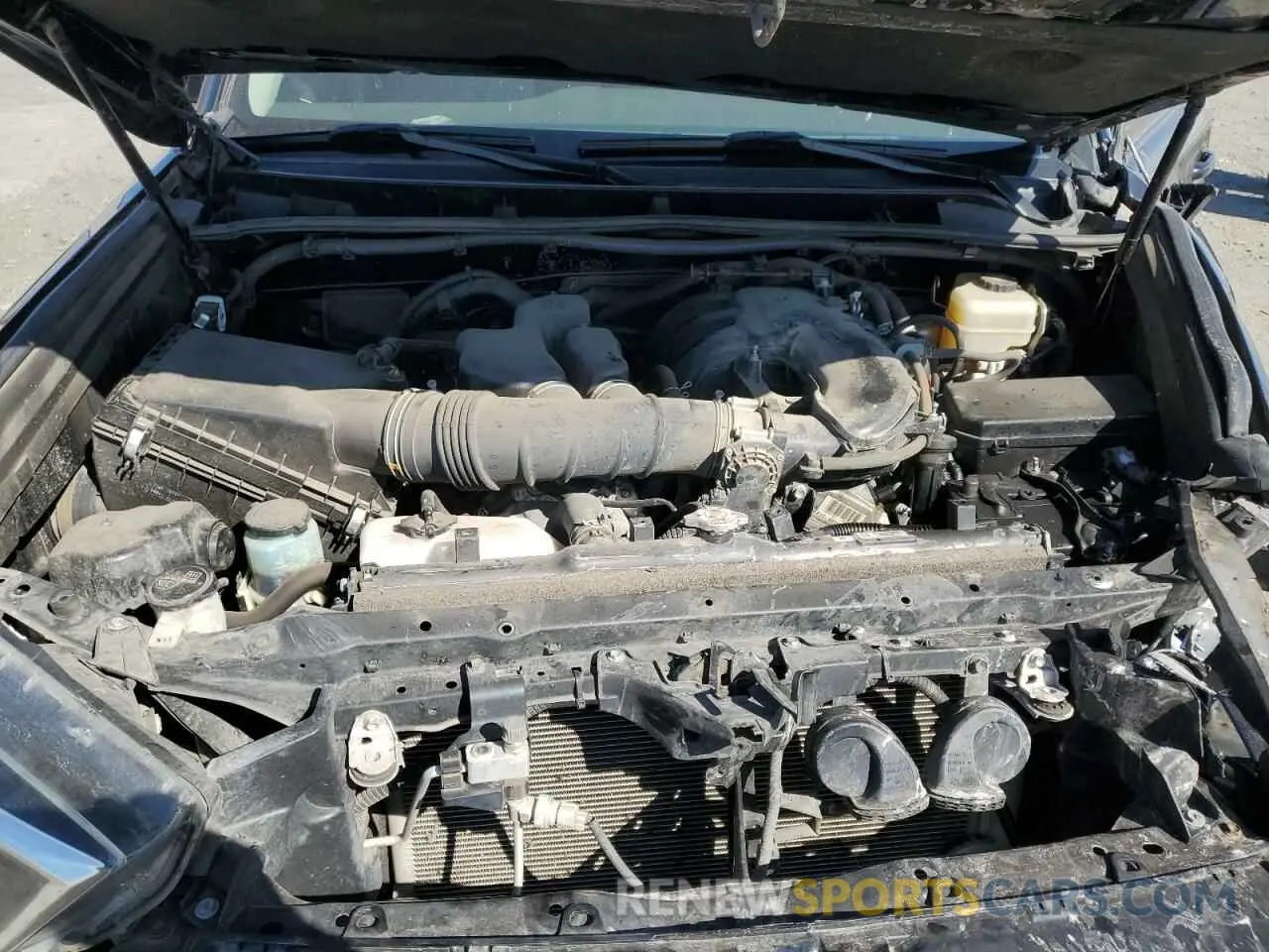 12 Photograph of a damaged car JTEBU5JR2K5709375 TOYOTA 4RUNNER 2019