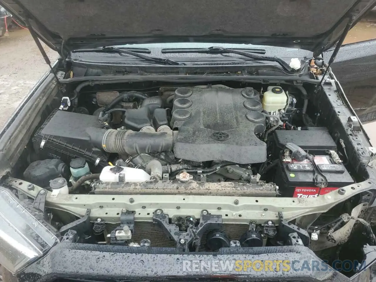 12 Photograph of a damaged car JTEBU5JR3K5661790 TOYOTA 4RUNNER 2019