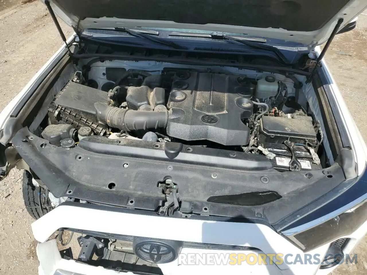 12 Photograph of a damaged car JTEBU5JR3K5731949 TOYOTA 4RUNNER 2019