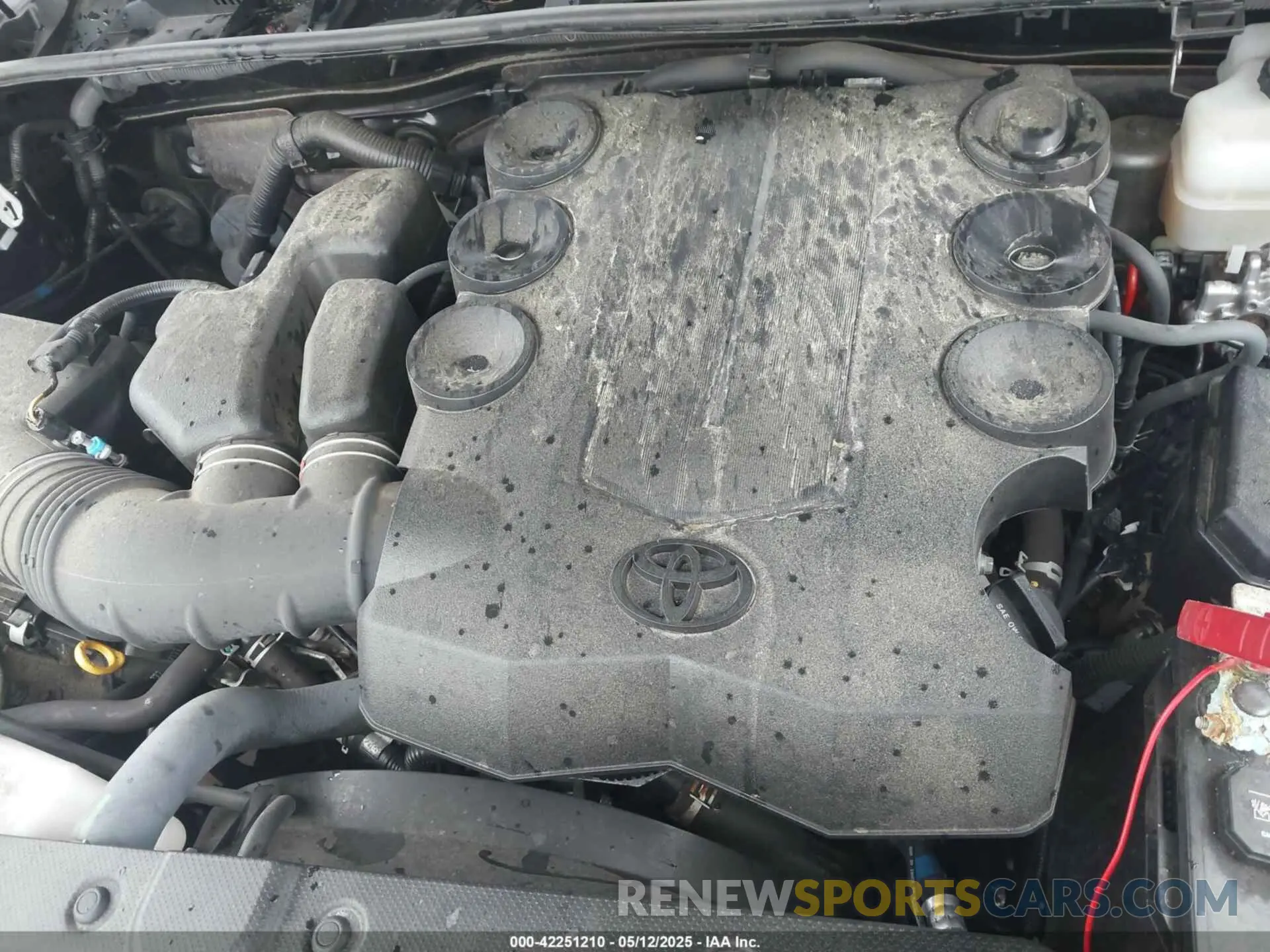 10 Photograph of a damaged car JTEBU5JR4K5615286 TOYOTA 4RUNNER 2019