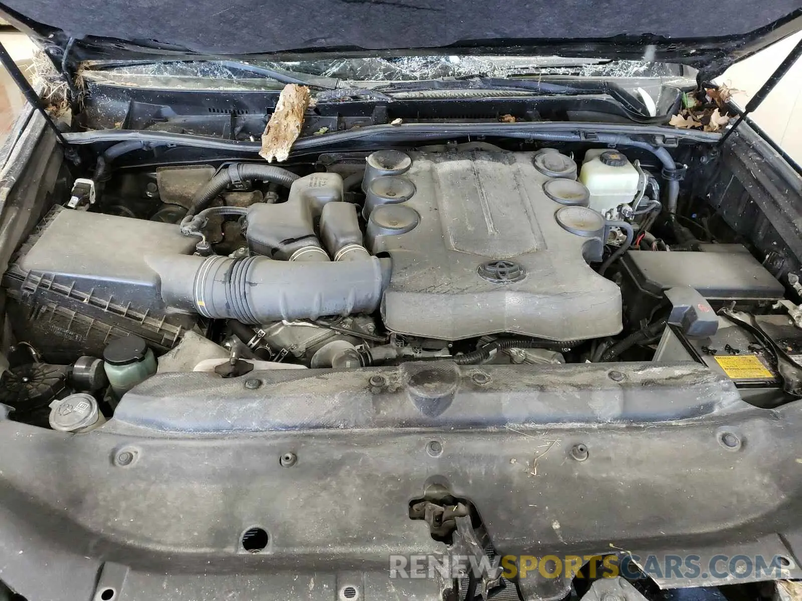 7 Photograph of a damaged car JTEBU5JR4K5631438 TOYOTA 4RUNNER 2019