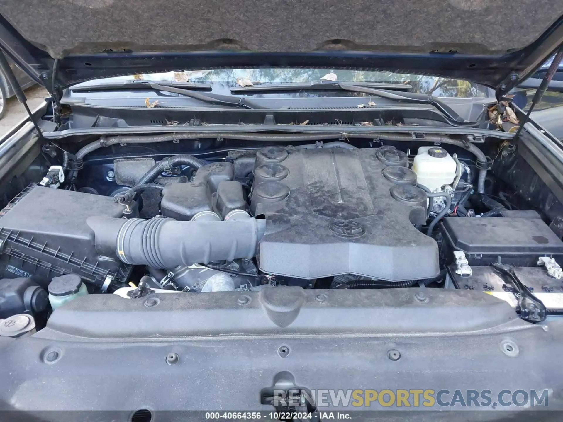 10 Photograph of a damaged car JTEBU5JR4K5694023 TOYOTA 4RUNNER 2019