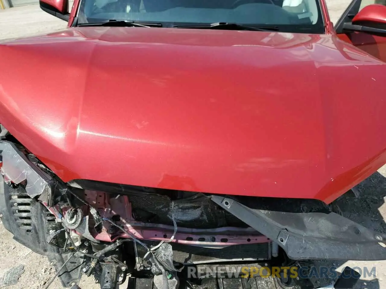 12 Photograph of a damaged car JTEBU5JR5K5640469 TOYOTA 4RUNNER 2019