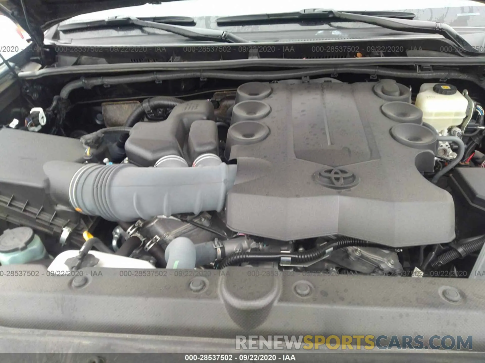 10 Photograph of a damaged car JTEBU5JR6K5614737 TOYOTA 4RUNNER 2019