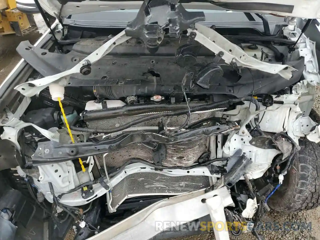 12 Photograph of a damaged car JTEBU5JR7K5698258 TOYOTA 4RUNNER 2019