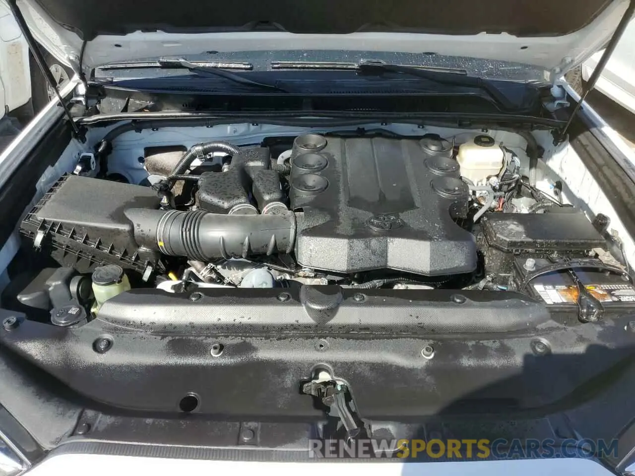 12 Photograph of a damaged car JTEBU5JR8K5628378 TOYOTA 4RUNNER 2019