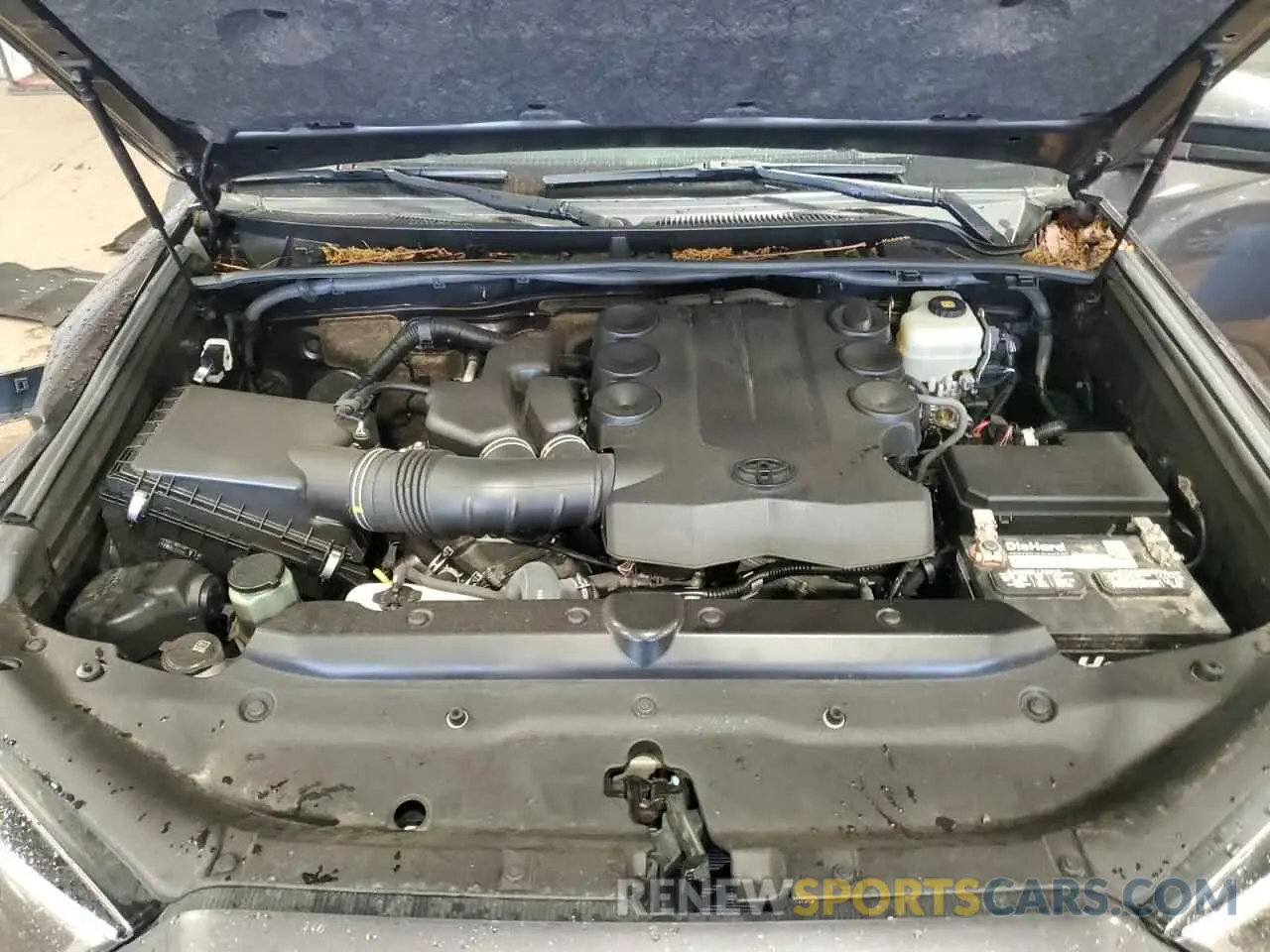 12 Photograph of a damaged car JTEBU5JR8K5694381 TOYOTA 4RUNNER 2019