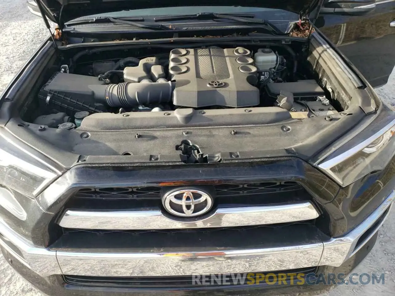 12 Photograph of a damaged car JTEBU5JR8K5700194 TOYOTA 4RUNNER 2019