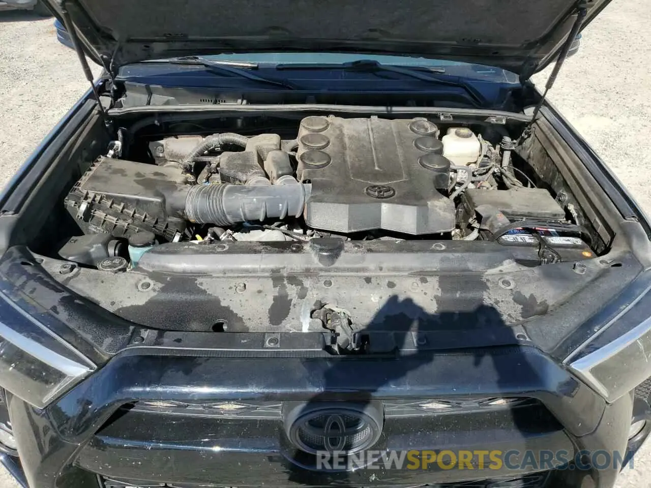 12 Photograph of a damaged car JTEBU5JR8K5703340 TOYOTA 4RUNNER 2019