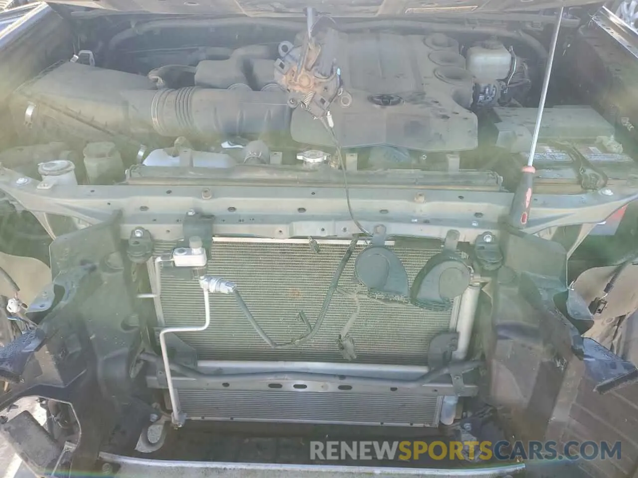 12 Photograph of a damaged car JTEBU5JR8K5703595 TOYOTA 4RUNNER 2019