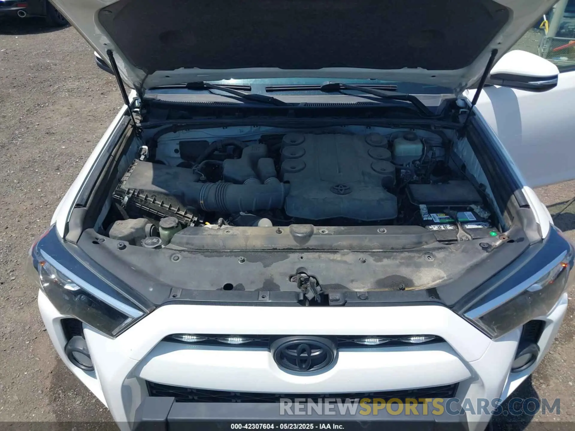 10 Photograph of a damaged car JTEBU5JR9K5670817 TOYOTA 4RUNNER 2019