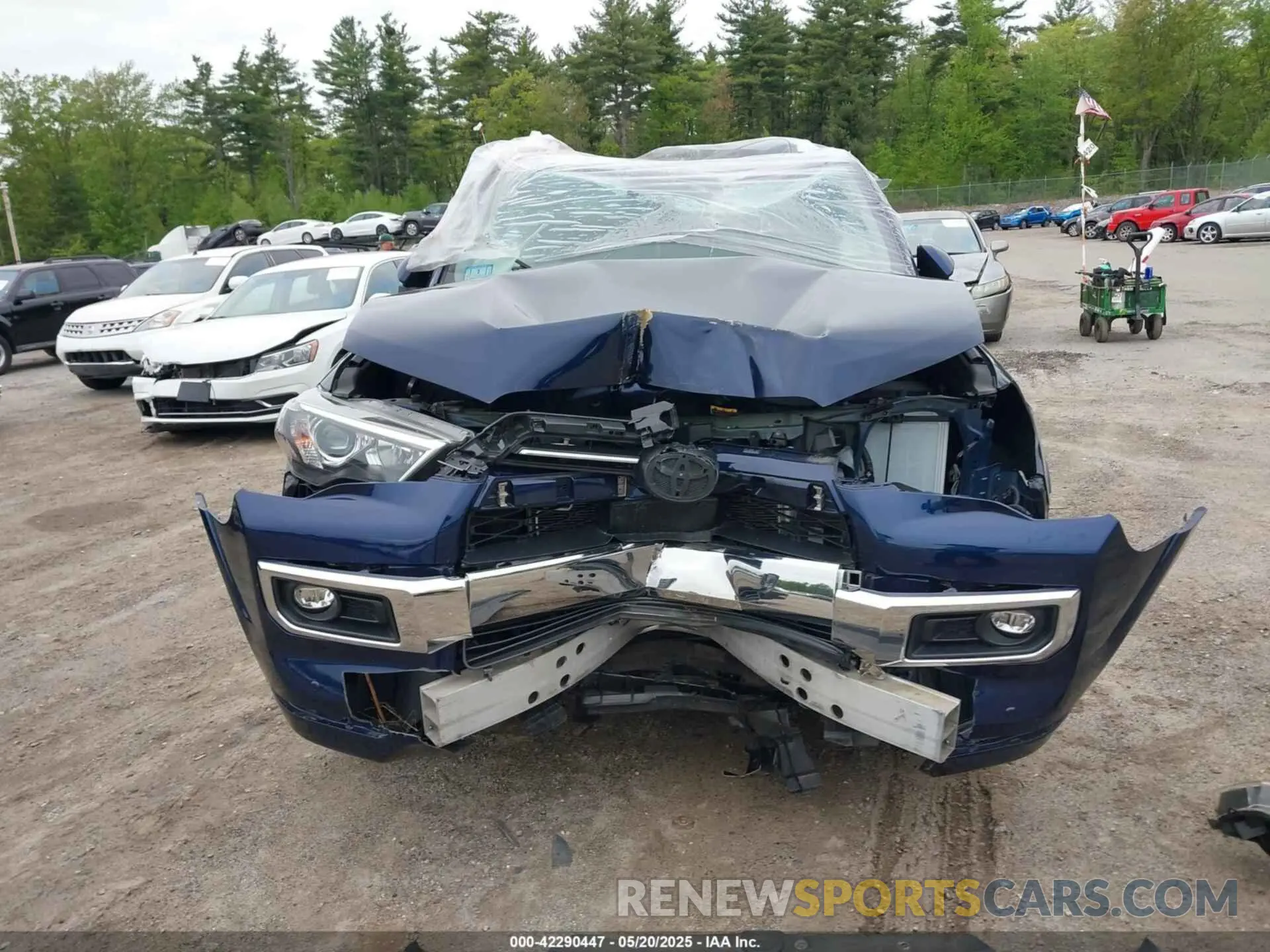 12 Photograph of a damaged car JTEKU5JR0M5855373 TOYOTA 4RUNNER 2021