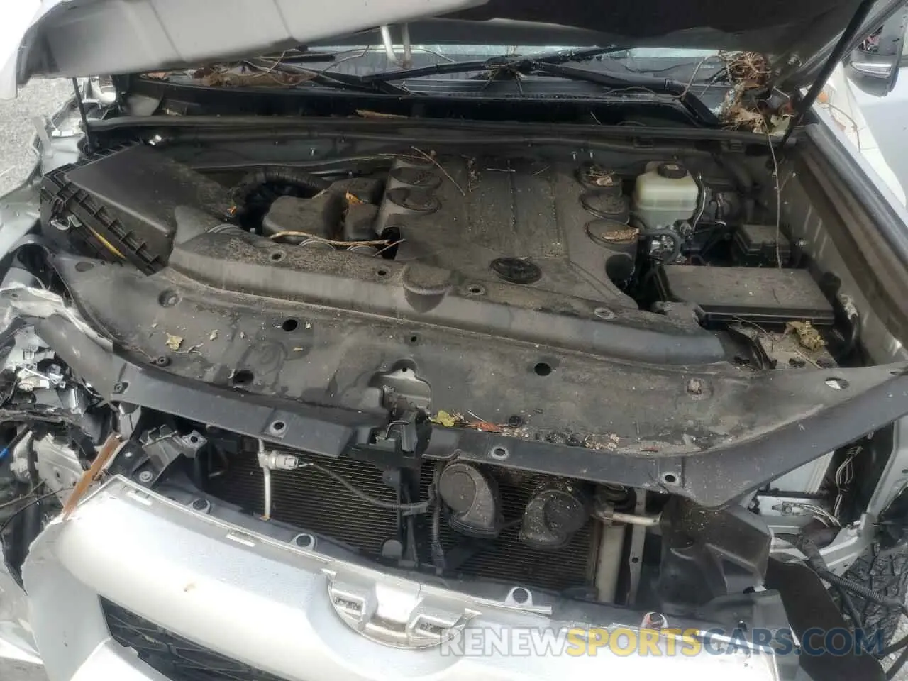 12 Photograph of a damaged car JTENU5JR1M5920230 TOYOTA 4RUNNER 2021