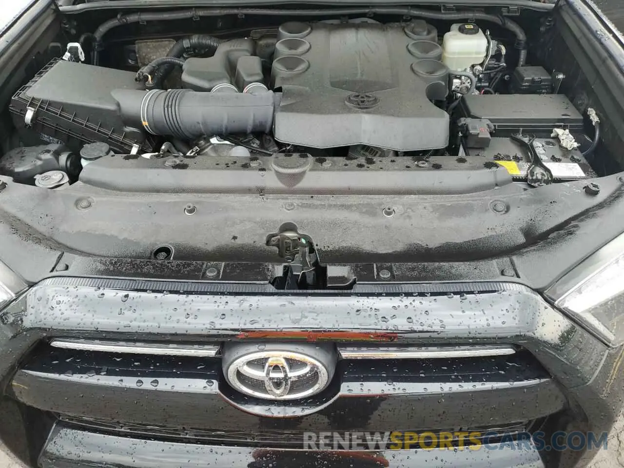 11 Photograph of a damaged car JTEMU5JR3N5980667 TOYOTA 4RUNNER 2022