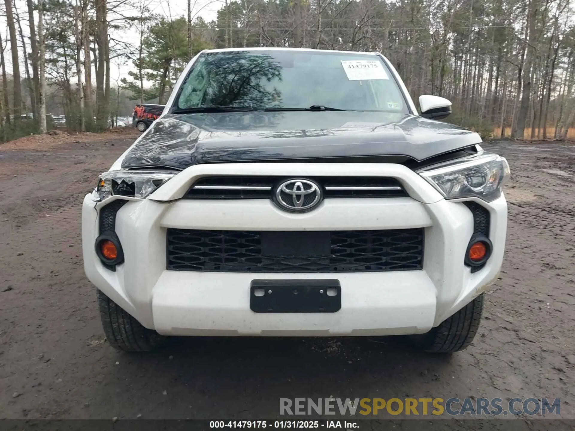 12 Photograph of a damaged car JTEMU5JR7N6063175 TOYOTA 4RUNNER 2022