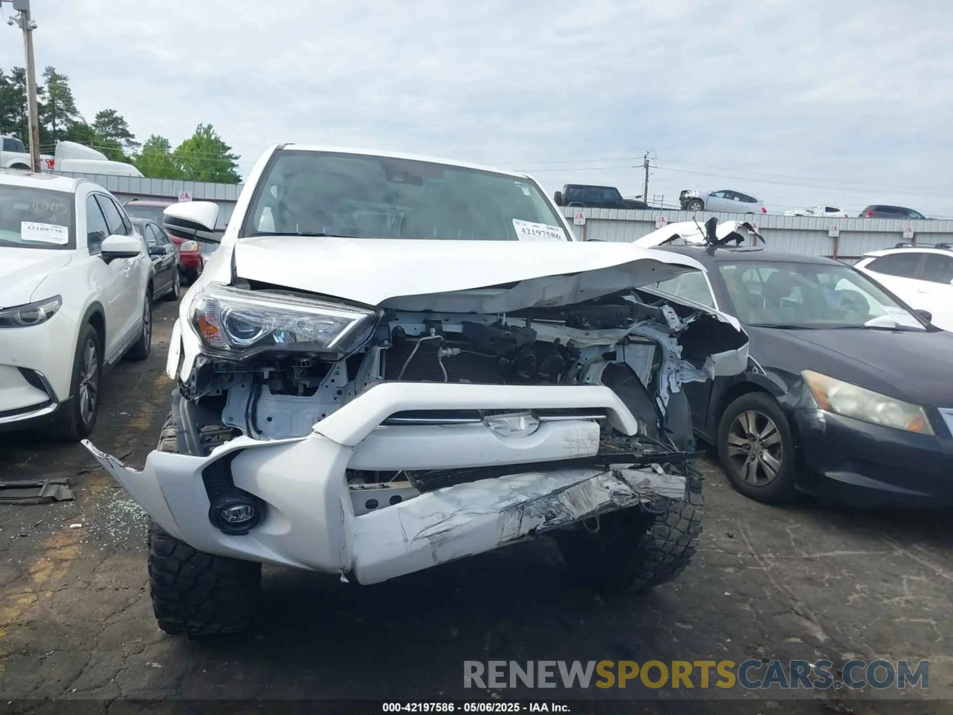 11 Photograph of a damaged car JTEMU5JRXN6034091 TOYOTA 4RUNNER 2022