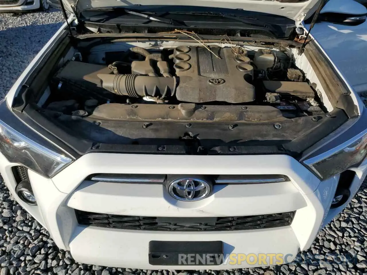 12 Photograph of a damaged car JTENU5JR6N6029037 TOYOTA 4RUNNER 2022