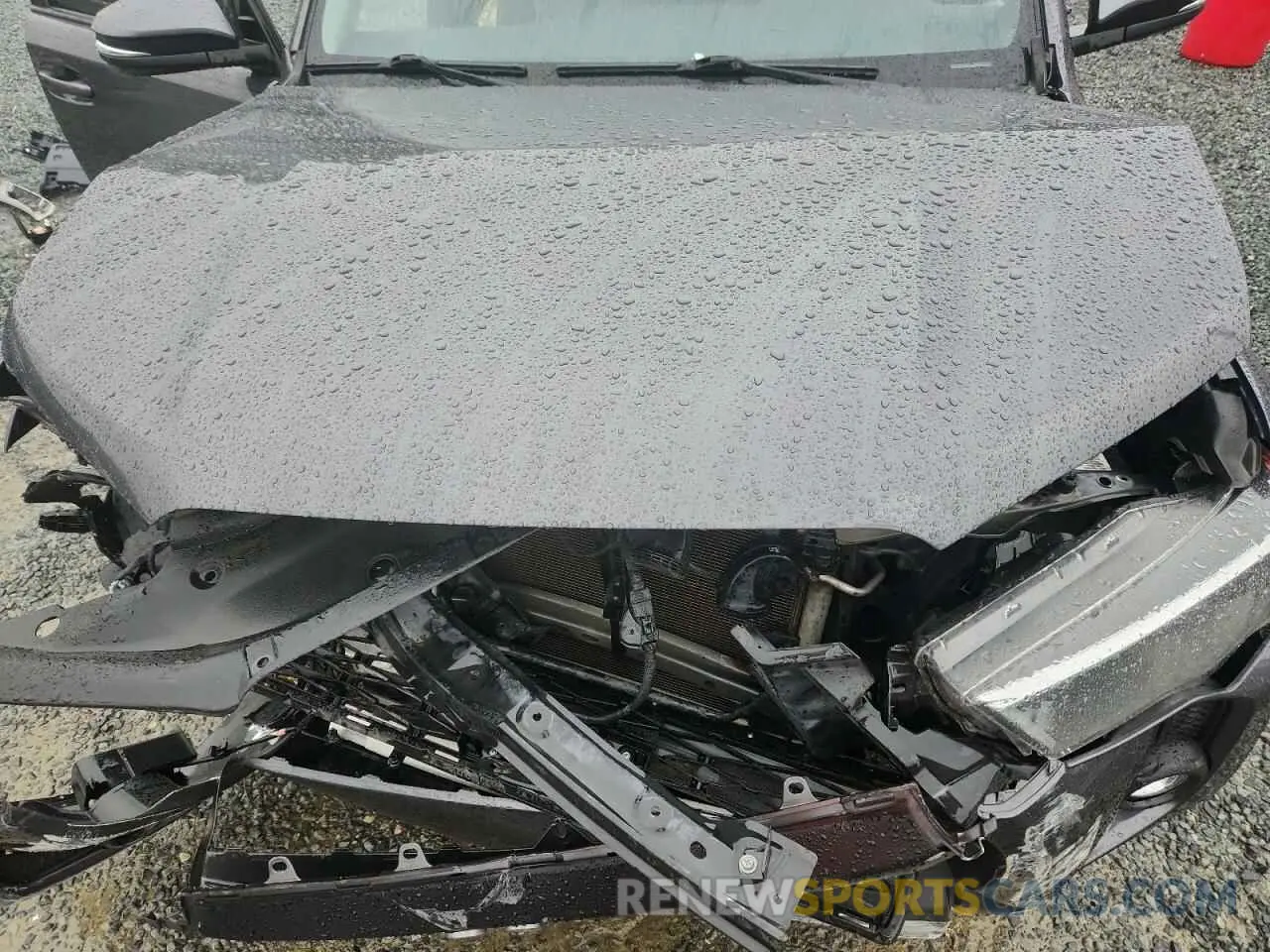 12 Photograph of a damaged car JTENU5JR7N5978506 TOYOTA 4RUNNER 2022