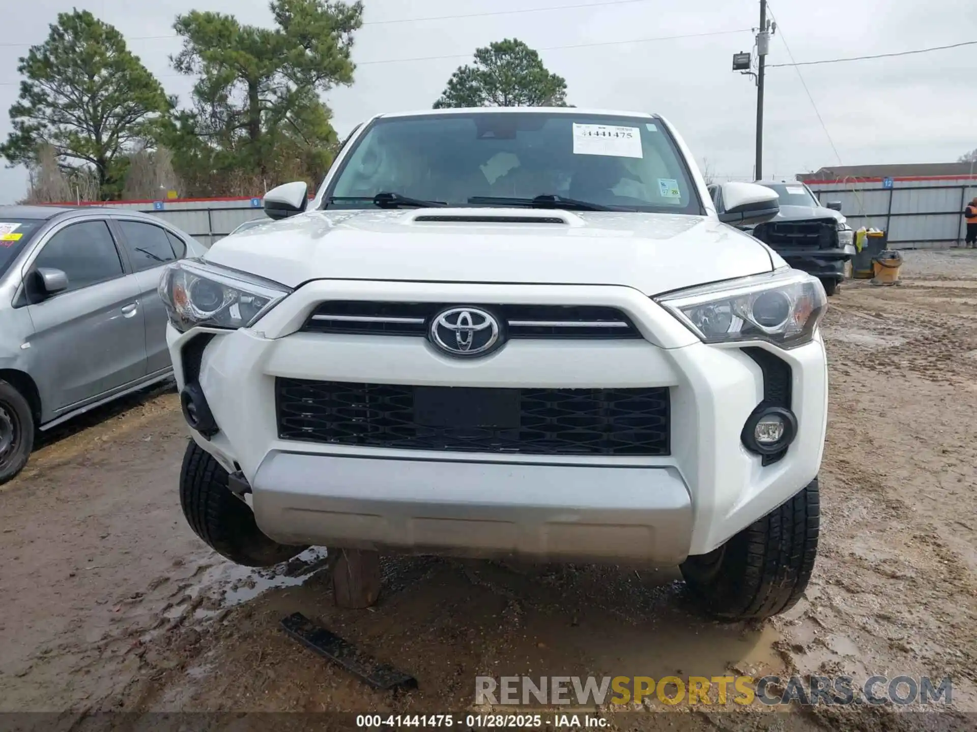 12 Photograph of a damaged car JTEPU5JR2N5978258 TOYOTA 4RUNNER 2022