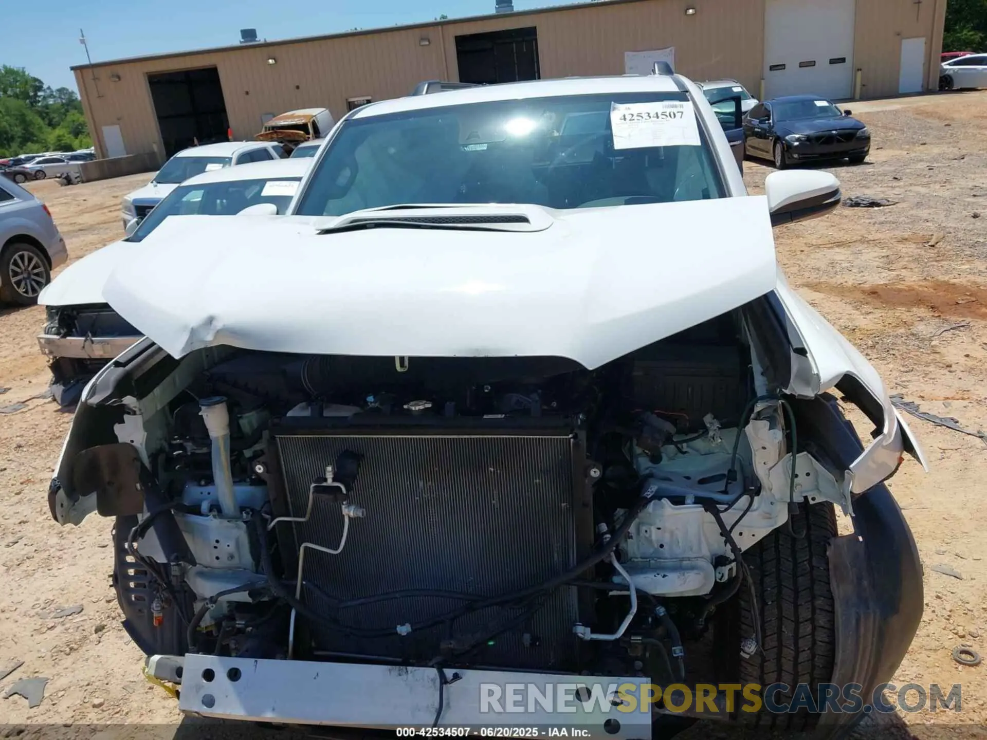 12 Photograph of a damaged car JTERU5JR4N6033301 TOYOTA 4RUNNER 2022