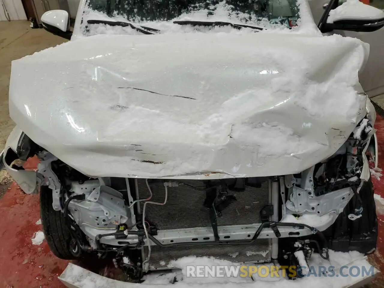12 Photograph of a damaged car JTEKU5JR2P6176008 TOYOTA 4RUNNER 2023