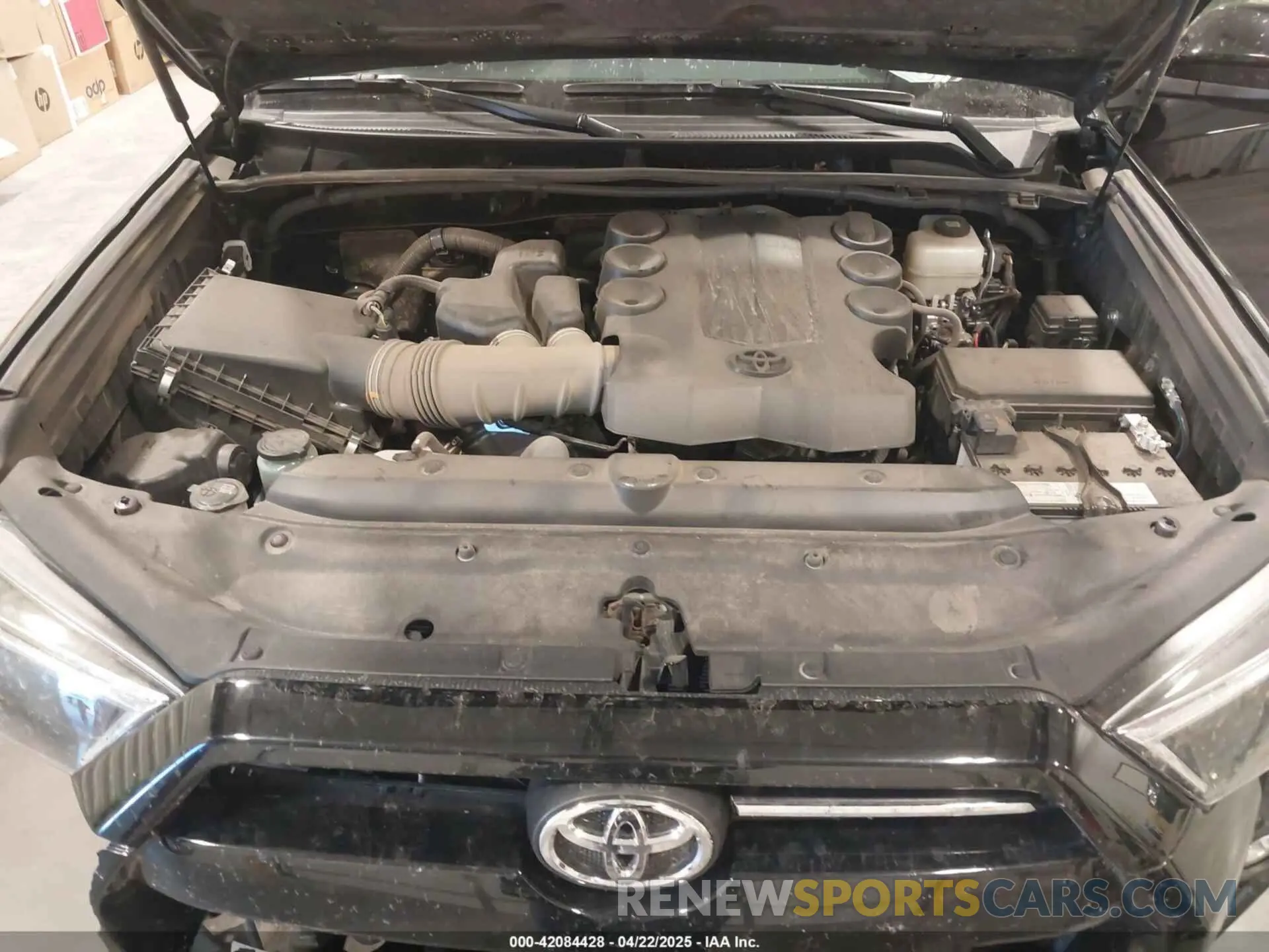 10 Photograph of a damaged car JTEMU5JR9R6253100 TOYOTA 4RUNNER 2024