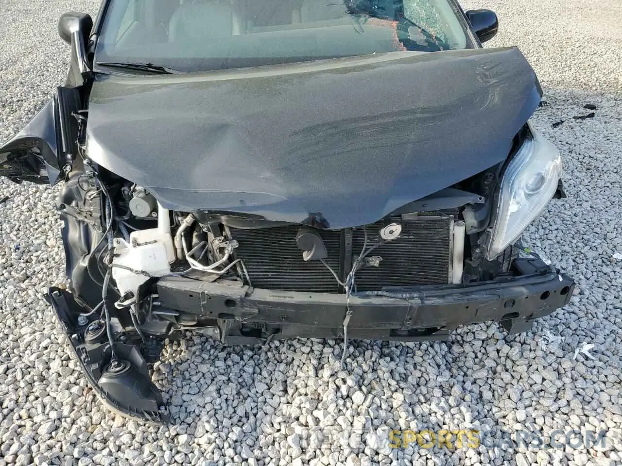 14 Photograph of a damaged car 5TDYZ3DC6KS017299 TOYOTA All Models 2019