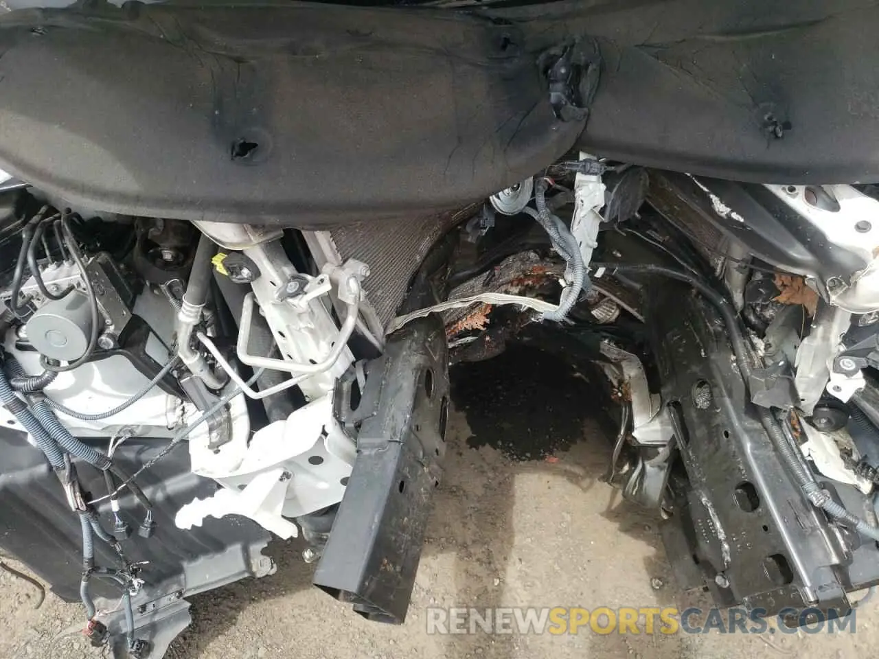 12 Photograph of a damaged car 5TDDZ3DCXLS251932 TOYOTA All Models 2020