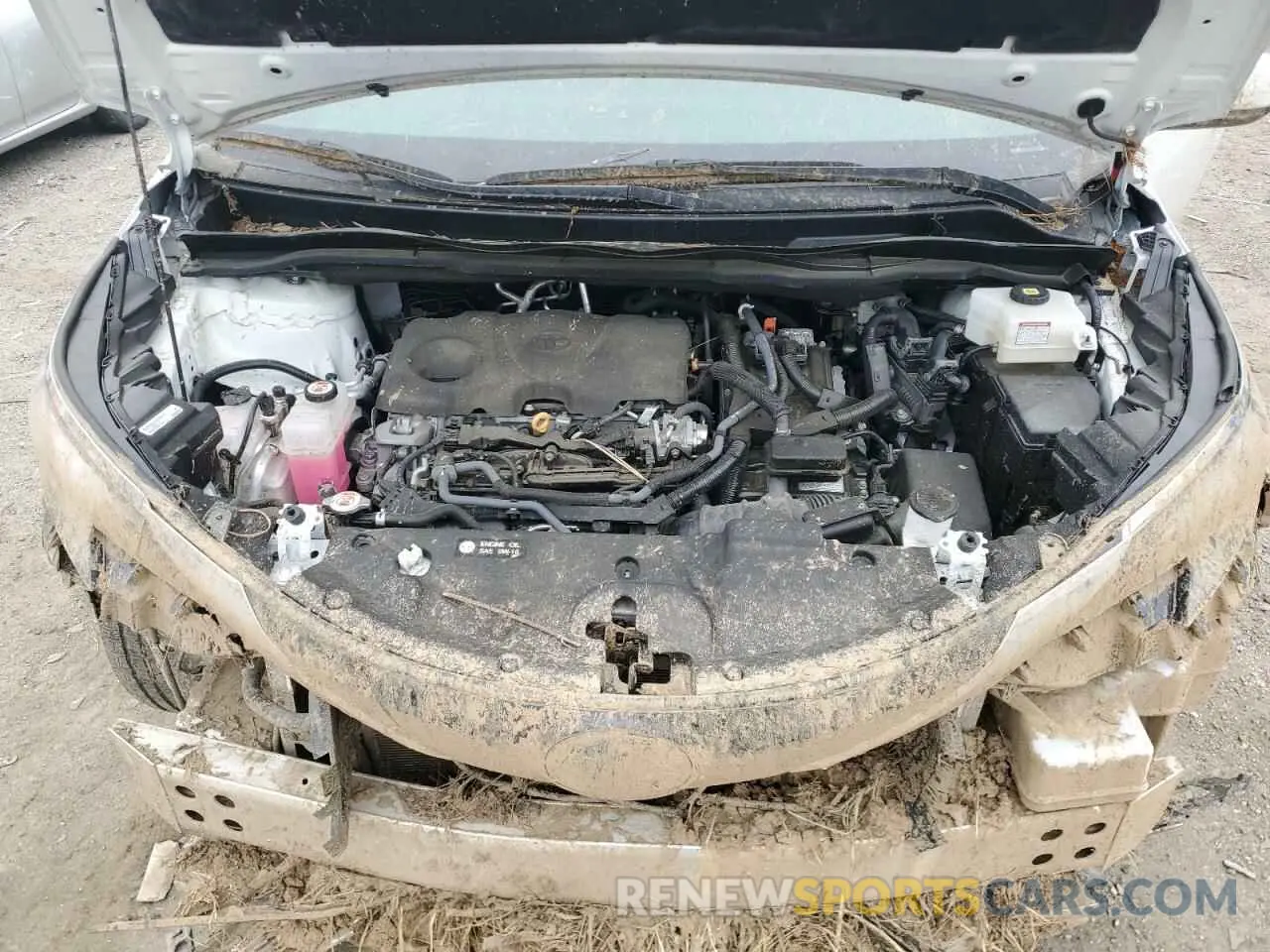 12 Photograph of a damaged car 5TDYRKECXPS147652 TOYOTA All Models 2023