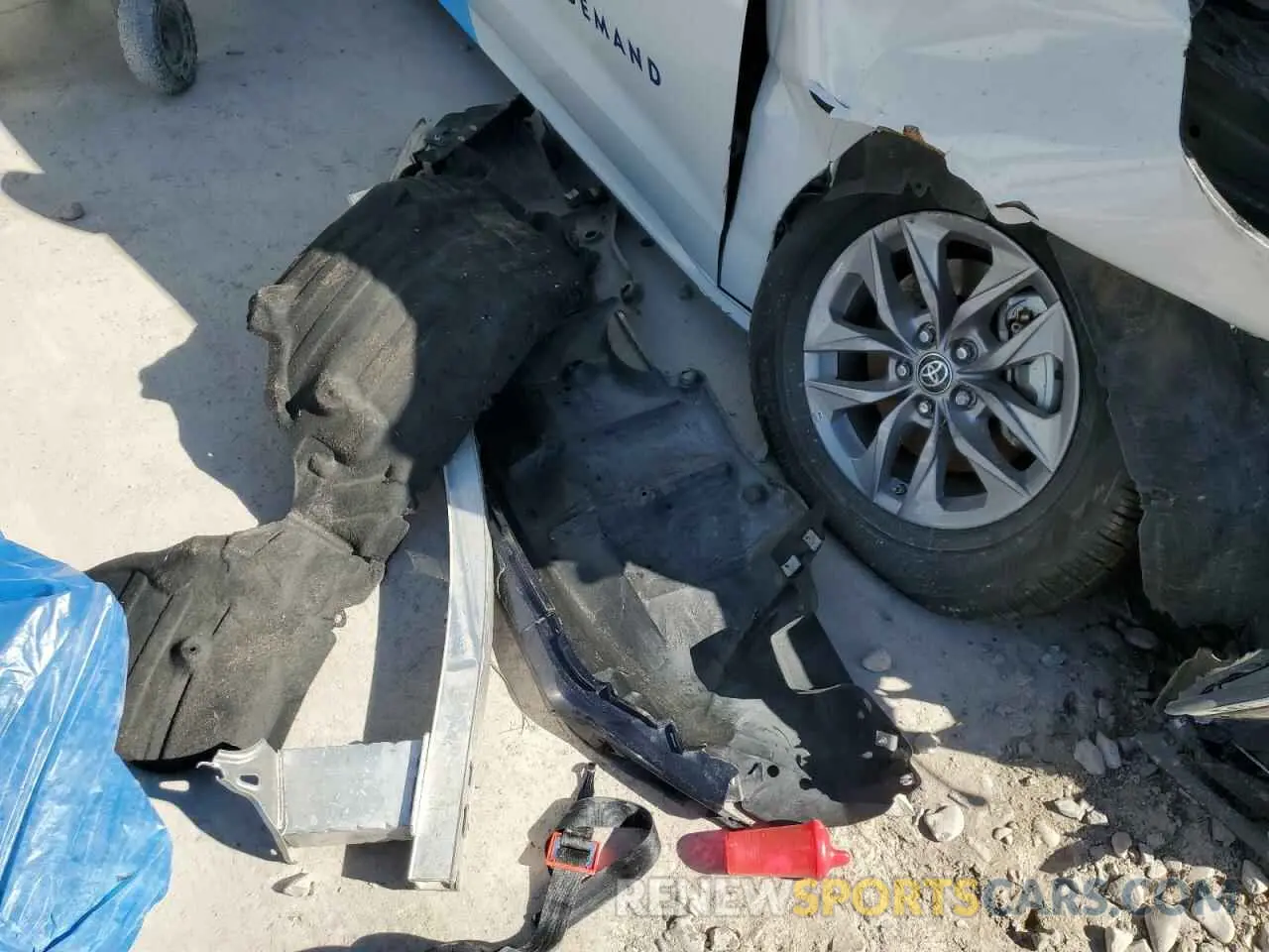 12 Photograph of a damaged car 5TDBRKEC4RS190523 TOYOTA All Models 2024