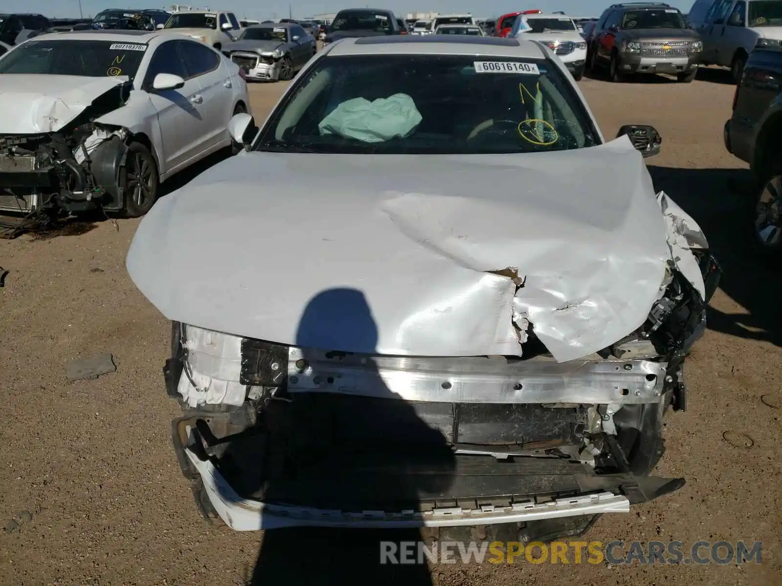 9 Photograph of a damaged car 4T1B21FB6KU006748 TOYOTA AVALON 2019