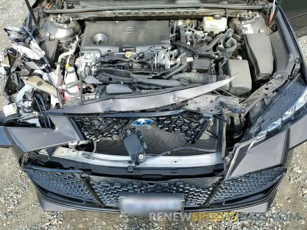 11 Photograph of a damaged car 4T1B21FBXKU003688 TOYOTA AVALON 2019