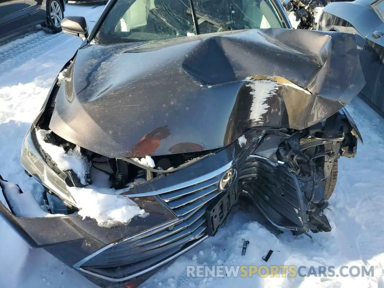 12 Photograph of a damaged car 4T1BZ1FB6KU005563 TOYOTA AVALON 2019