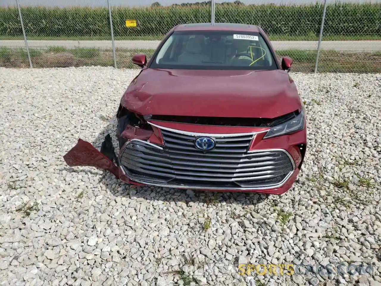 9 Photograph of a damaged car 4T1D21FB6LU014133 TOYOTA AVALON 2020