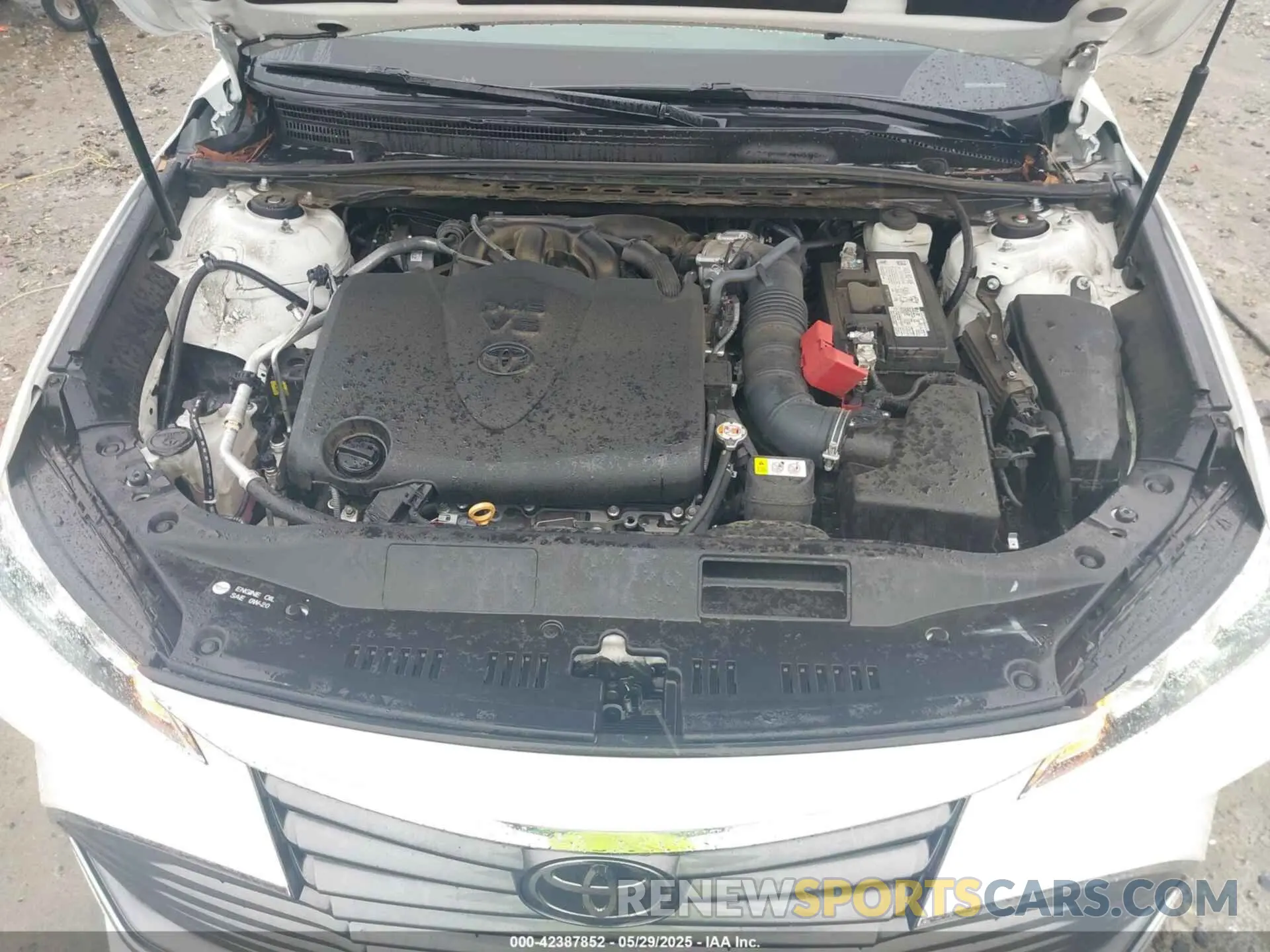 10 Photograph of a damaged car 4T1AZ1FB8MU059087 TOYOTA AVALON 2021
