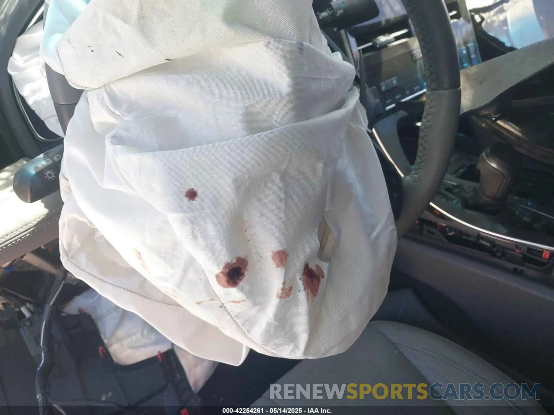12 Photograph of a damaged car 4T1DZ1FB2MU065948 TOYOTA AVALON 2021