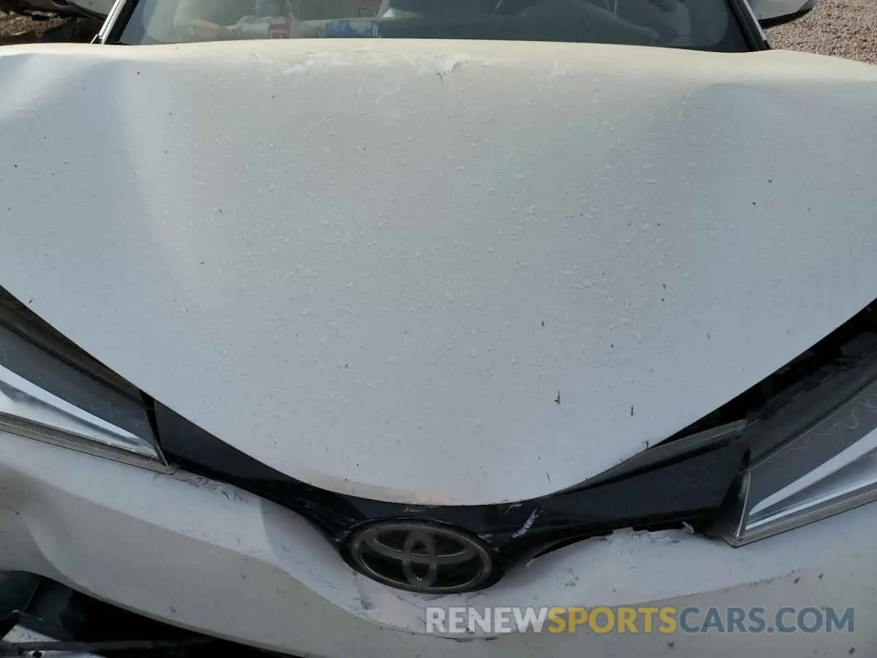 12 Photograph of a damaged car JTNKHMBX1K1046481 TOYOTA C-HR 2019