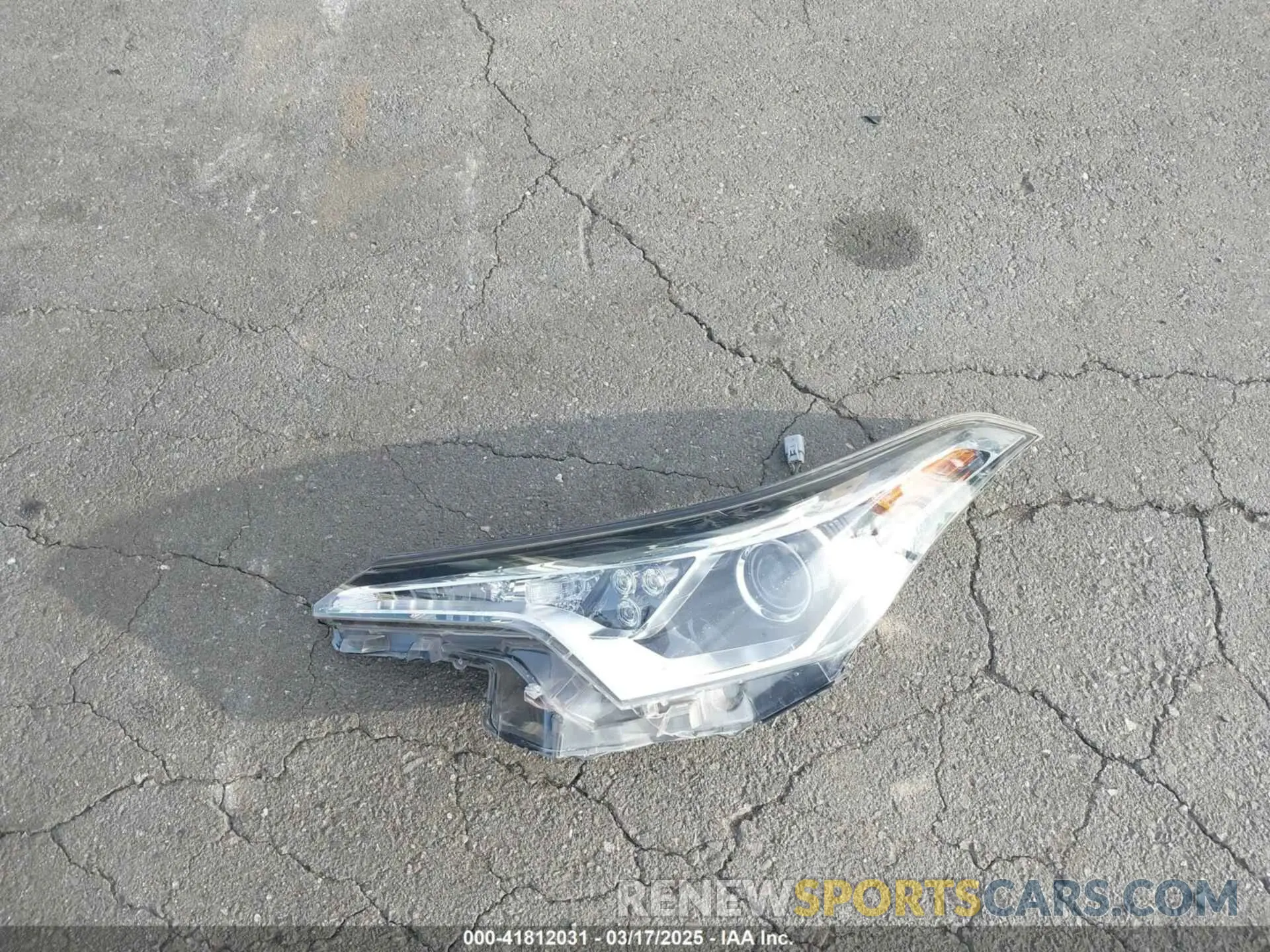 12 Photograph of a damaged car JTNKHMBX4K1040772 TOYOTA C-HR 2019