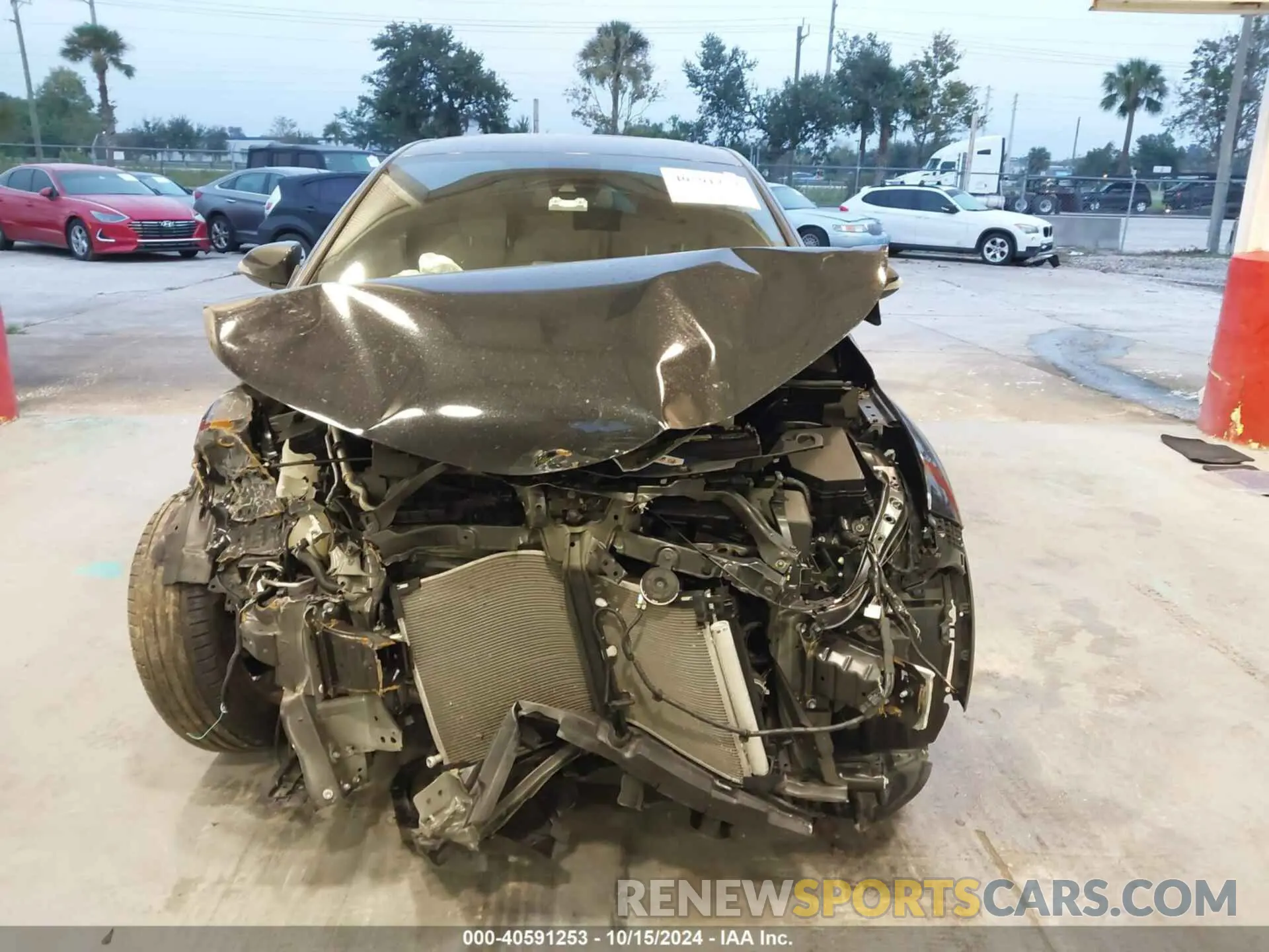 12 Photograph of a damaged car JTNKHMBX5K1048931 TOYOTA C-HR 2019
