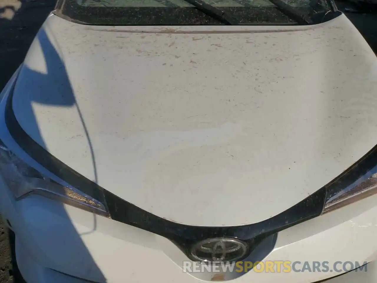 12 Photograph of a damaged car JTNKHMBX6K1025951 TOYOTA C-HR 2019