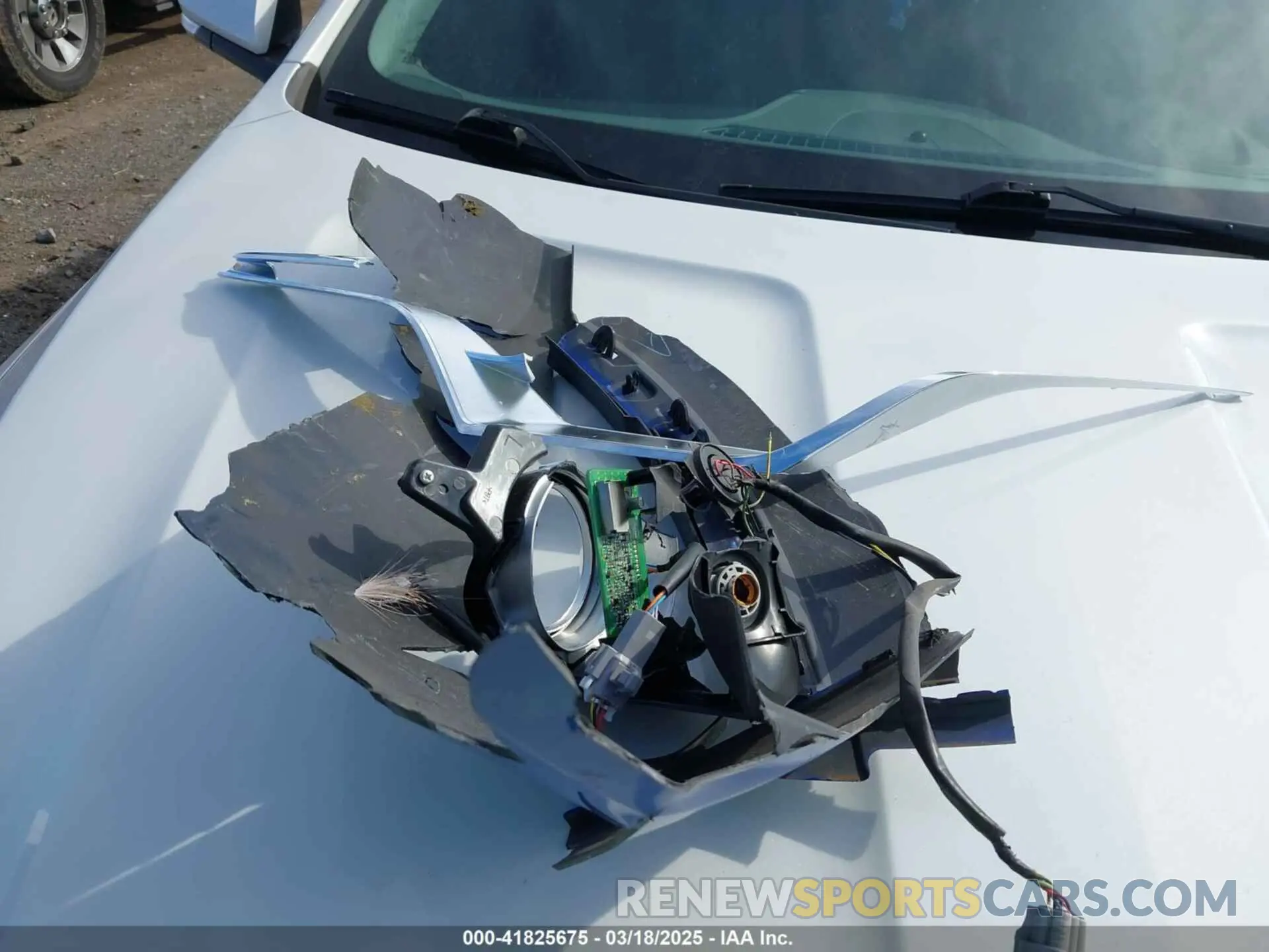 12 Photograph of a damaged car NMTKHMBX2KR091404 TOYOTA C-HR 2019