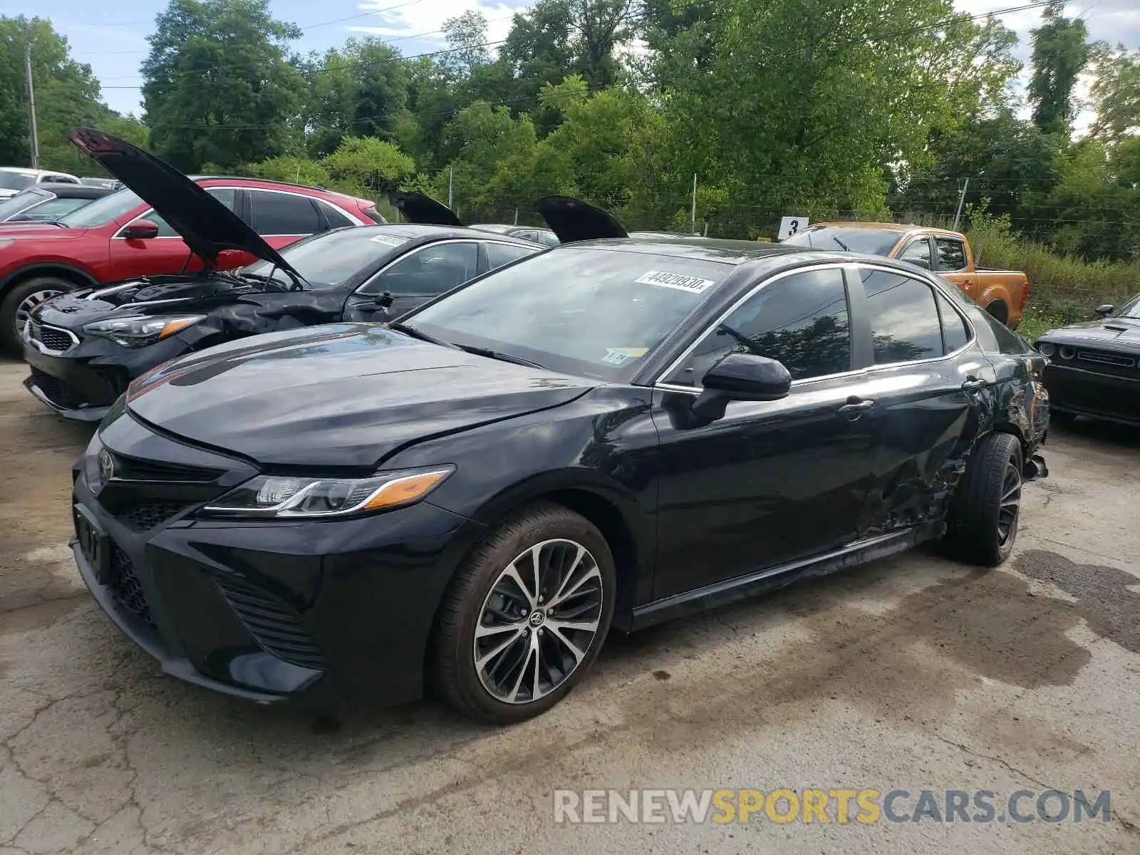 2 Photograph of a damaged car 4T1B11HK0KU164924 TOYOTA CAMRY 2019