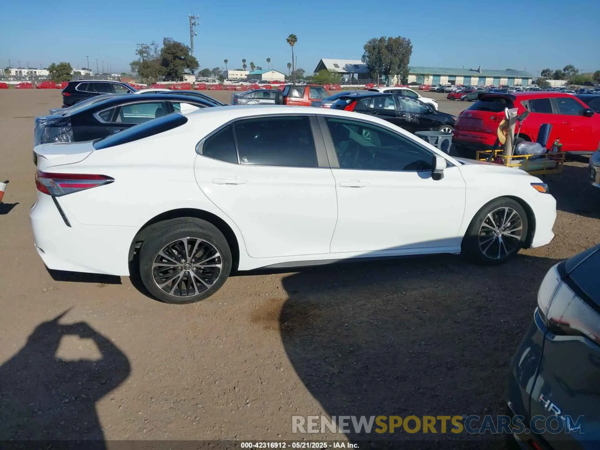 14 Photograph of a damaged car 4T1B11HK0KU169346 TOYOTA CAMRY 2019