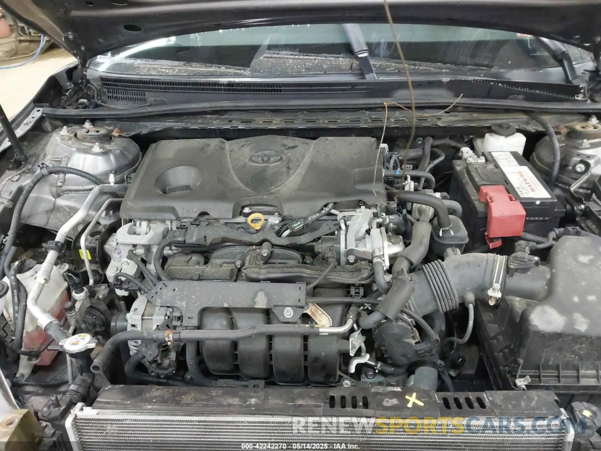 10 Photograph of a damaged car 4T1B11HK0KU175647 TOYOTA CAMRY 2019